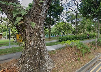 Therapeutic Garden photo Therapeutic Garden