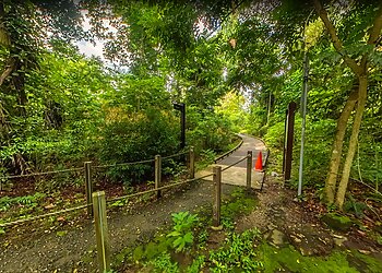 Thomson Nature Park image Thomson Nature Park