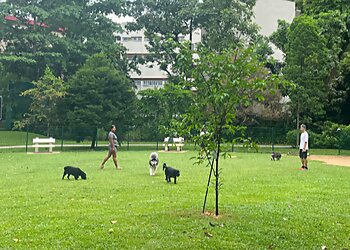 Tiong Bahru Public Parks Tiong Bahru Park image 2 Tiong Bahru Public Parks Tiong Bahru Park image 2