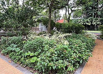 Tiong Bahru Public Parks Tiong Bahru Park image 3 Tiong Bahru Public Parks Tiong Bahru Park image 3