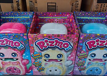 Toymana photo Toymana