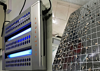 Bishan Pest Control Companies United Pest & Vector Management Pte Ltd. image 3 Bishan Pest Control Companies United Pest & Vector Management Pte Ltd. image 3