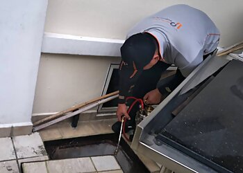 Hougang Pest Control Companies United Pest & Vector Management Pte. Ltd. image 3 Hougang Pest Control Companies United Pest & Vector Management Pte. Ltd. image 3