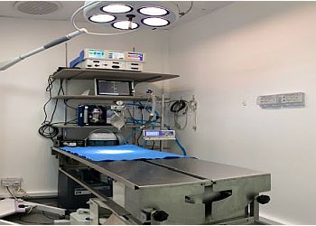 United Veterinary Clinic image United Veterinary Clinic