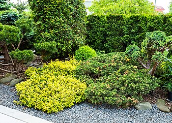 Boon Lay Landscaping Companies Urban Garden Landscaping image 2 Boon Lay Landscaping Companies Urban Garden Landscaping image 2