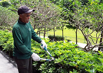 Geylang Landscaping Companies Urban Landscapes Pte Ltd. image 2 Geylang Landscaping Companies Urban Landscapes Pte Ltd. image 2