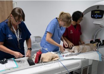 VES Hospital Pte Ltd image VES Hospital Pte Ltd