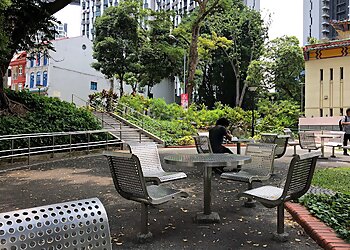 Vanda Miss Joaquim Park photo Vanda Miss Joaquim Park