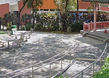 Vanda Miss Joaquim Park image Vanda Miss Joaquim Park