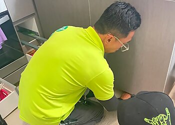 Geylang Pest Control Companies Verminator Pte. Ltd. image 2 Geylang Pest Control Companies Verminator Pte. Ltd. image 2