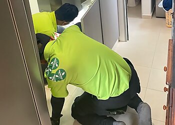 Geylang Pest Control Companies Verminator Pte. Ltd. image 3 Geylang Pest Control Companies Verminator Pte. Ltd. image 3