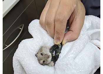 Bukit Batok Veterinary Clinics Vet Affinity image 3 Bukit Batok Veterinary Clinics Vet Affinity image 3