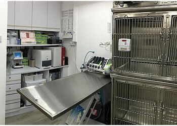 Toa Payoh Veterinary Clinics Vet Central image 2 Toa Payoh Veterinary Clinics Vet Central image 2