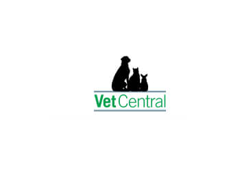 Veterinary Clinics in Toa Payoh - ThreeBestRated