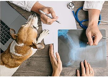 Bukit Batok Veterinary Clinics Vet Practice Pte Ltd image 3 Bukit Batok Veterinary Clinics Vet Practice Pte Ltd image 3