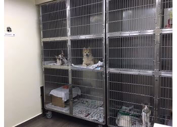 Queenstown Veterinary Clinics Vet Practice Pte Ltd image 3 Queenstown Veterinary Clinics Vet Practice Pte Ltd image 3