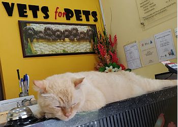 Jurong West Veterinary Clinics Vets For Pets image 2 Jurong West Veterinary Clinics Vets For Pets image 2