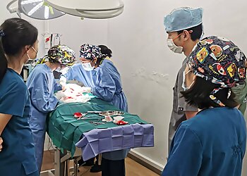 Vets for Life Animal Clinic image Vets for Life Animal Clinic