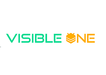 Visible One Limited