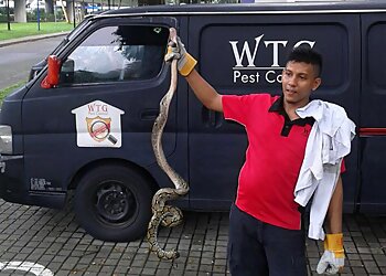 Orchard Road Pest Control Companies WTG Pest Control image 3 Orchard Road Pest Control Companies WTG Pest Control image 3