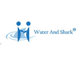 Water And Shark 