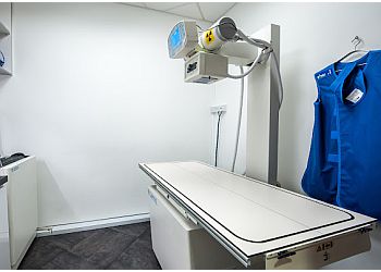 Clementi Veterinary Clinics West Coast Vetcare image 2 Clementi Veterinary Clinics West Coast Vetcare image 2