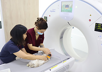 Serangoon Veterinary Clinics Westside Vet Emergency & Referral Hospital image 2 Serangoon Veterinary Clinics Westside Vet Emergency & Referral Hospital image 2