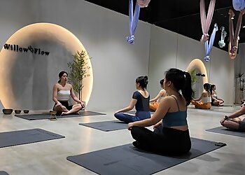 Macpherson Yoga Studios Willow Flow Studio image 3 Macpherson Yoga Studios Willow Flow Studio image 3