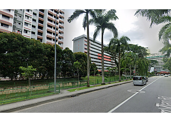 Tiong Bahru Landscaping Companies Win and Win Landscape Pte Ltd image 1