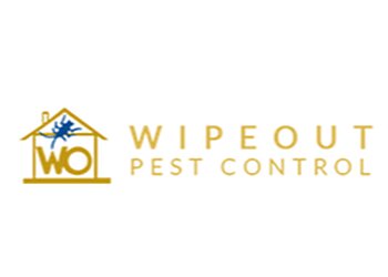 Serangoon Pest Control Companies Wipeout Pest Control Services Pte. Ltd. image 2 Serangoon Pest Control Companies Wipeout Pest Control Services Pte. Ltd. image 2