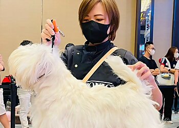 Yappily Pets photo Yappily Pets