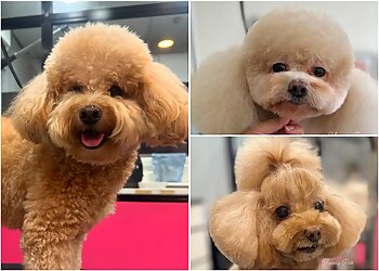 Yappily Pets image Yappily Pets