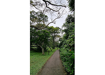 Bukit Panjang Public Parks  Zhenghua Park image 1